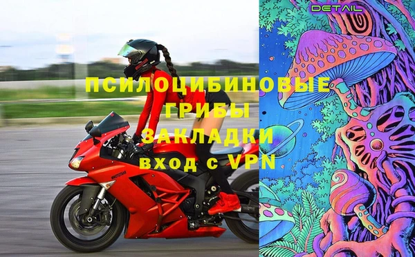 Альфа ПВП Медвежьегорск