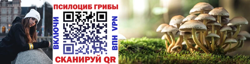 закладки  Дятьково  МЕГА рабочий сайт  Псилоцибиновые грибы GOLDEN TEACHER 