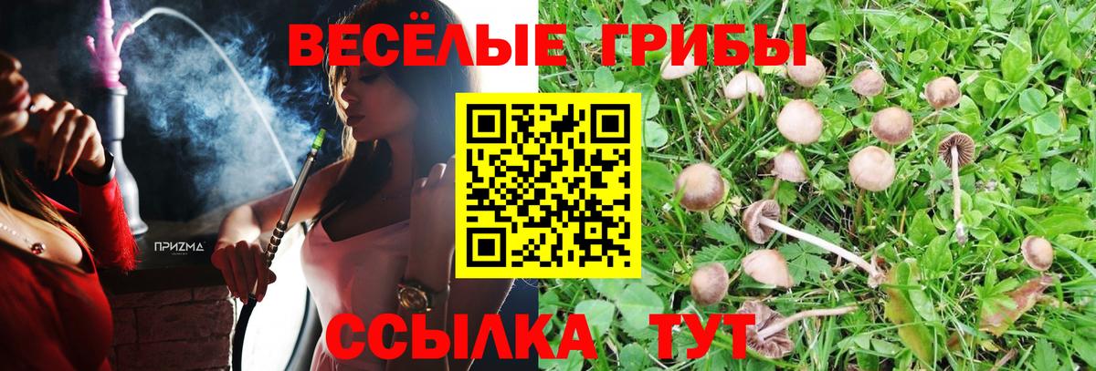 Галлюциногенные грибы ЛСД Дятьково
