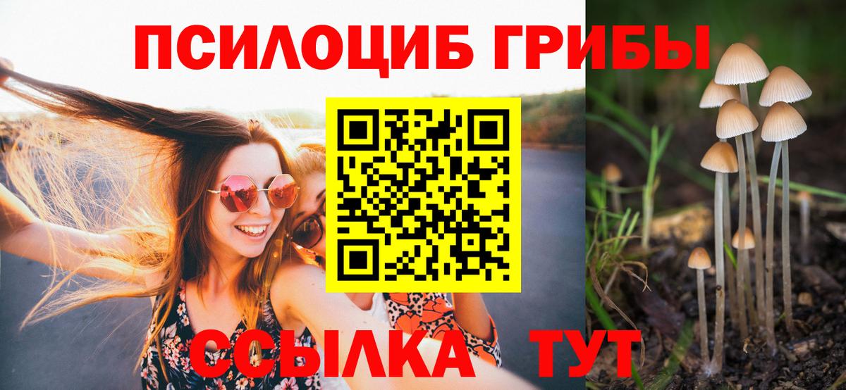Галлюциногенные грибы мухоморы  Галлюциногенные грибы Psilocybine cubensis  Дятьково  Вход с VPN 